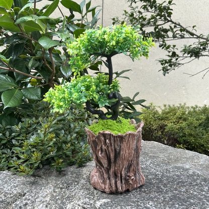 Quirky Stump Flower Pot