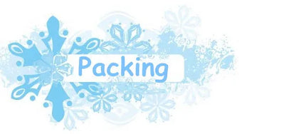 Colorful Butterfly Wing Earrings