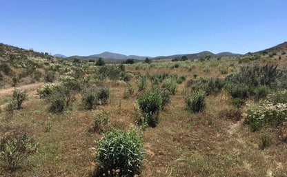 Home Cleansing & Smudging Kit