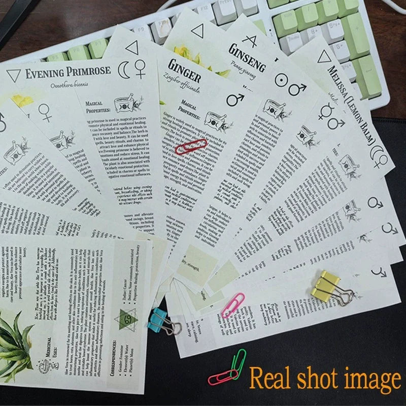 From Garden To Apothecary A Beginner's Journey Into Herbal Remedies