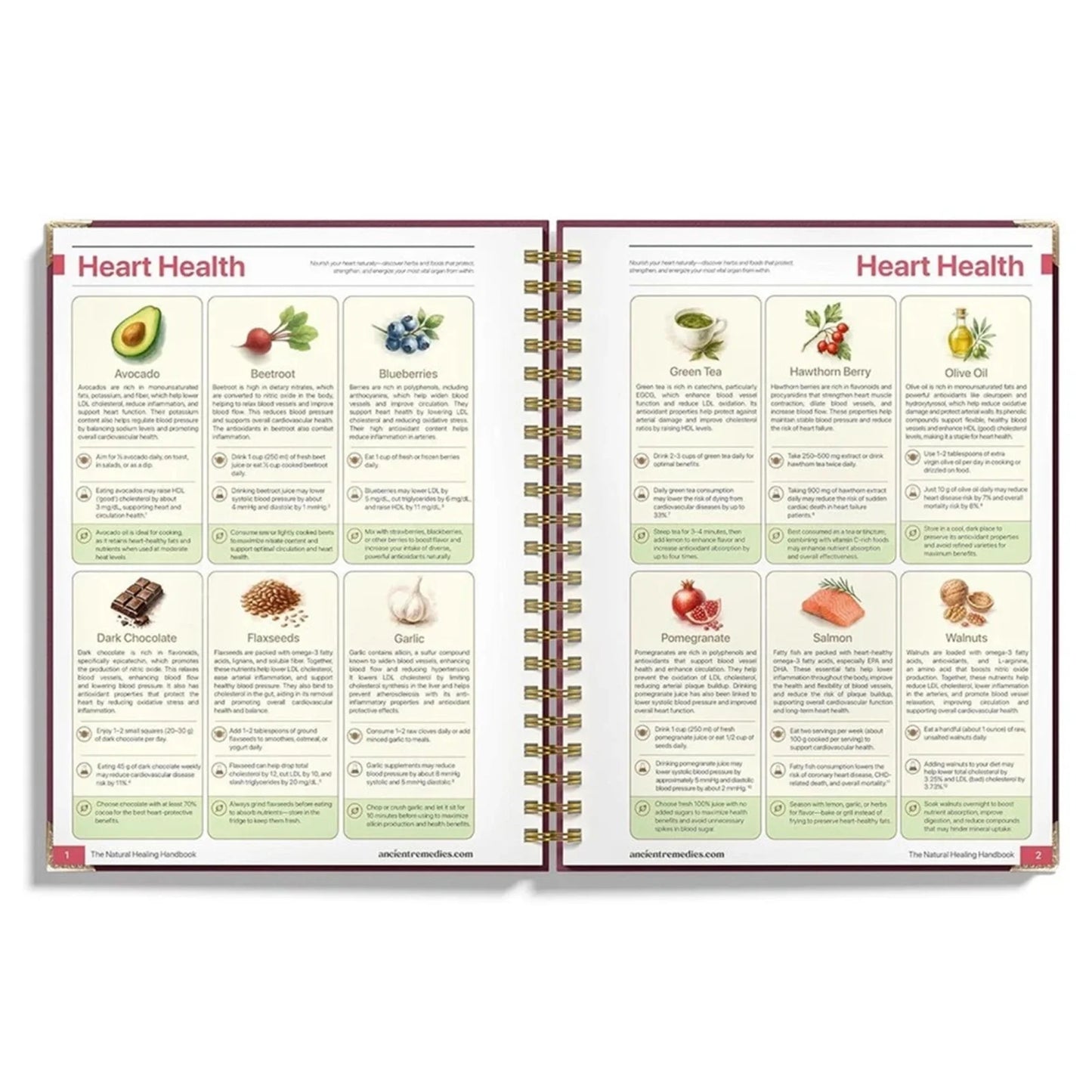 Natural Healing Guide Spiral Bound Herbal Book